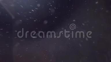 夜间降雪。 黑色背景下的雪花，镜头中的雪花飞舞